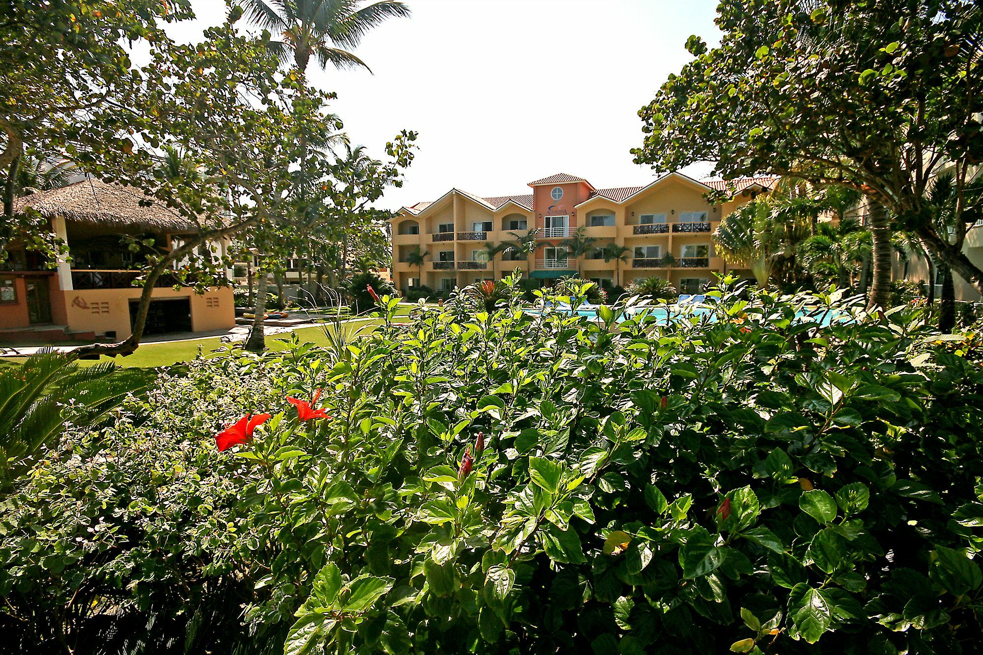 Agualina Kite Resort كاباريتي المظهر الخارجي الصورة